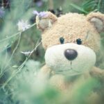 110821 pic to Jimmie pexels-marina-shatskih-105532 stuffed animal free pic